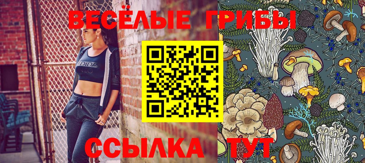 Псилоцибиновые грибы Cubensis Владимир