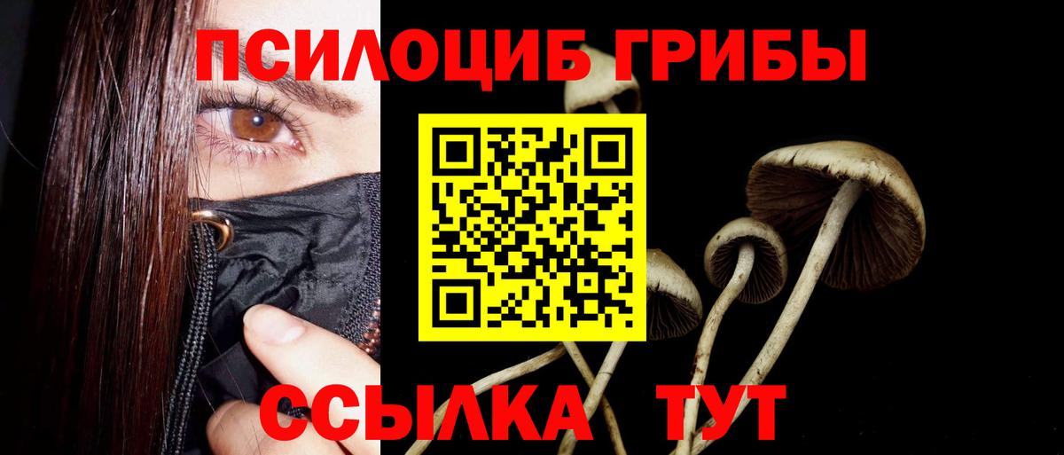 Галлюциногенные грибы Psilocybine cubensis  Псилоцибиновые грибы Psilocybine cubensis  Вход с VPN  Владимир 