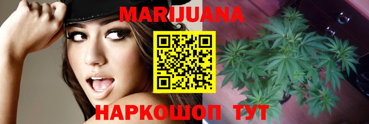 Канабис семена Владимир